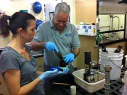 Research Technician Eve Lundsten assists Charlie Paull with core sampling for DDT evidence. Scientists now use DDT as an age marker since it was mainly used during the 1940s and 1950s, but was outlawed in the 1960s.