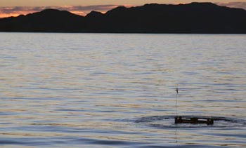 Early this morning we recalled the benthic respirometer system (BRS), which had been doing its work on the seafloor at 1,575 meters (5,040 feet) overnight. We sent a remote signal to it, which told it to float to the surface where we retrieved it.
