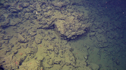 Contorted morphologies of glassy basalt clasts along the side of a channel, including a large angular block (in the middle of photo).