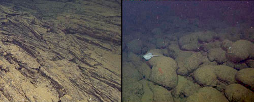 The left shows an example of a sheet flow, and the right frame shows an example of pillow lavas from the Alarcón Rise (with a skate swimming past).