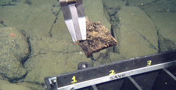 Lava sample taken by submersible.