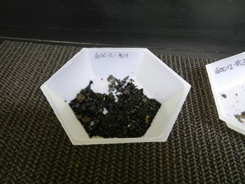 Figure 4. Rock samples obtained with the “Rock Crusher”.