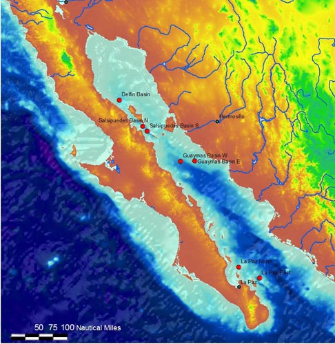 Our first exploration will be in the Guaymas Basin, then we will head far to the north of La Paz to the Delfin and Salsipuedes Basins.