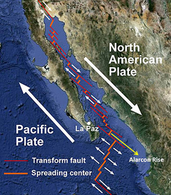 Regional tectonic map showing the direction of movement of the Pacific and North American Plates and the rift system geometry along the axis of the Gulf of California. Note that as new oceanic crust is formed parallel to the spreading centers, the adjoining transform faults accommodate the lateral component of shear parallel to the direction of plate motion.