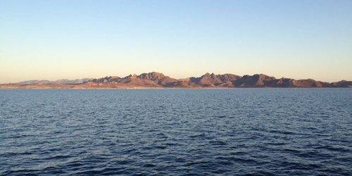We departed the port of Pichilingue (near La Paz) last night to get a jump on the dive program. It was glassy calm and clear, making for a beautiful transit out the channel.