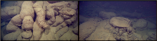 Pillow lavas. Left: A pile of elongate pillows oozed like red-hot toothpaste down the slope of a cone built of many, many other pillows. Right: A bulbous pillow sagged into a bird-bath shape when its interior dribbled out into little pillow buds (foreground).