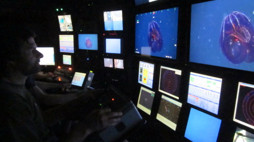 Chief scientist Steve Haddock operates the main camera in the ROV control room.