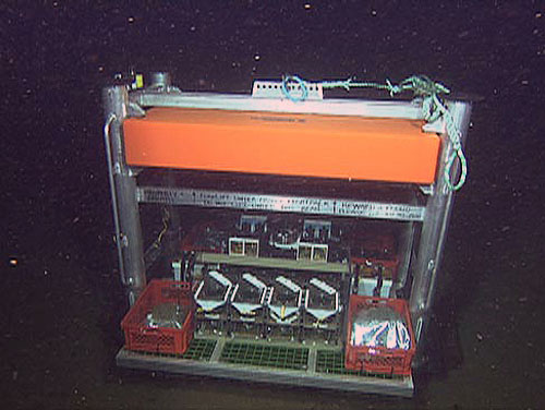 Having launched the benthic respirometer system over the side of the ship, we were happy to see it waiting for us when we arrived on the seafloor with the Doc Ricketts.