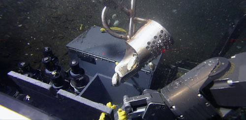The ROV pilots use this metal scoop (a retrofitted prospector's bucket) to scoop up clams from the muddy seep areas. One manipulator arm is holding the box open while the other manipulator arm pours these large cold seep clams into the sampling box.