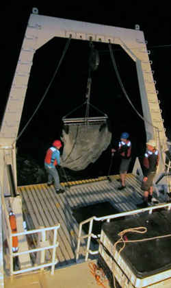 Meghan Powers, Steve Haddock, and Henk-Jan Hoving deploy the Tucker trawl off the stern of the Western Flyer.