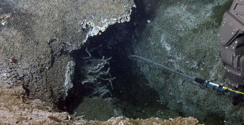 The ISUS instrument, held by the manipulator arm, measures sulfide coming out of this deep cave, newly named Jackson Hole. Tubeworms can be seen on the left inside the cave with bacterial mats all over the walls. The white edge at the top is carbonate rock outcrop and old clam shells.