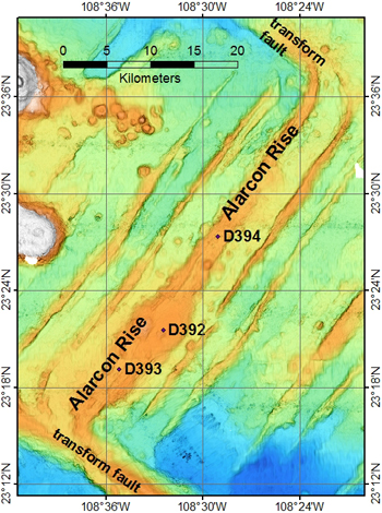 Map of the Alarcon Rise spreading ridge, showing its full extent from the southern to the northern transform faults (through the center of the map from the lower left to upper right). The starting points of our ROV dives on the ridge are the labeled dots. ROV dive D392 was on the inflated bulge of the broadest, most volcanically active part of the ridge and the start depth for the dive was 2,297 meters (7,536 feet). The start depth for D393 was 2,379 meters (7,805 feet), and D394 was 2,373 meters (7,785 feet). Bathymetry data after Castillo et al. (2002).