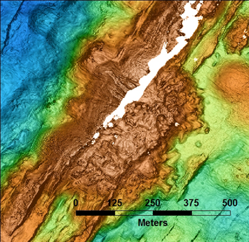 The dome in the center of the MBARI AUV bathymetry map was explored and sampled today. It appears to be composed of more viscous lava than the low, rounded pillow mounds and flatter sheet flows that surround it. Narrow, steep ridges extend to the northeast and southwest, and may be related. In the coming weeks we will be editing the noise in the AUV data, which we only received Monday. The white space is where there is no data. The blue colors are deep, starting at about 2,500 meters (8,200 feet), and oranges are shallow, to 2,345 meters (7,700 feet).
