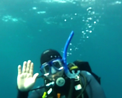 George Matsumoto waves from 25 meters (82 feet) down. Image captured from video shot by Steve Haddock.
