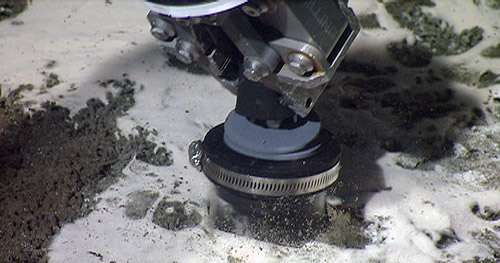 This photo shows a push core being inserted in one of the large, white bacterial mats we saw today. Today we collected about 45 scaleworms similar to the ones we reported in yesterday's cruise log. They were crawling all over these large, white bacterial mats—their favorite food.