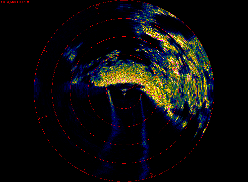 Maps help identify possible locations of gas venting, then while exploring, the ROV sonar often helps locate the vents. In this sonar image from yesterday, the two blue streaks at the bottom indicate there were two vents behind the vehicle.