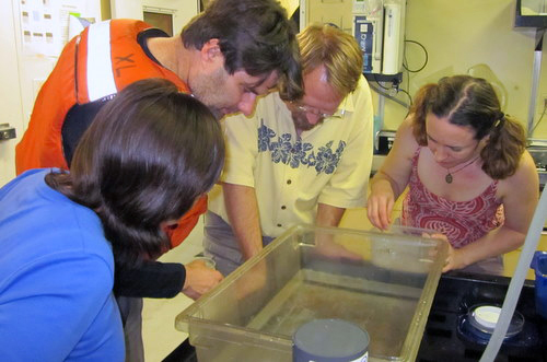 Rebeca Gasca, Steve Haddock, Erik Thuesen, and Karen Osborn are eagerly waiting in the lab to sort through the trawl.
