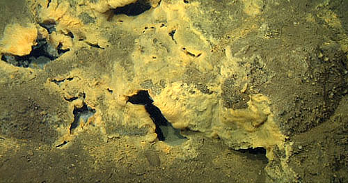 A close-up of a rocky ridge riddled with cracks and holes venting sulfur-laden warm fluids.