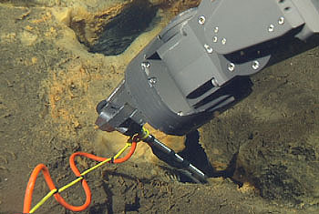 A thermistor is inserted into one of the fissures to measure the temperature of the venting fluids. They were clearly warmer than surrounding seawater, but not very hot.