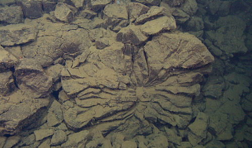 An amazing feature formed by a fault scarp. A portion of the face of a fault-scarp truncates a set of pillow lavas (center), with its characteristic radial fractures giving the pillow a “wagon-wheel” shape.