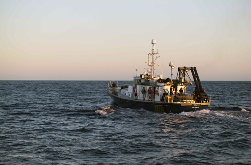 The crew of the R/V Zephyr sails off into the sunset to enjoy the bounty of warm food and treats they received in exchange for high-resolution bathymetric maps of the Gulf of California seafloor.