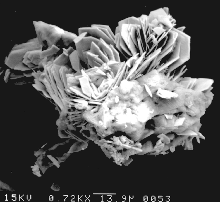 The sulfates consist of anhydrite and barite; the latter has a high strontium content. Chemical compositions are similar to those observed at mid-ocean ridge vent precipitates. 