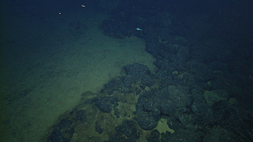 lava pillows from the 2011 eruption