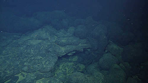 Collapsed lobate pillow in an older flow