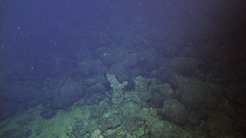 2011 eruption lavas