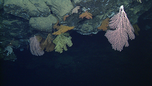 looking down on the edge of the overhanging inner rim of a large collapsed lava pond
