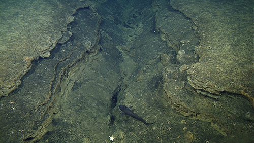 looking along a fracture about a meter deep