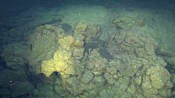 low temperature hydrothermal fluids