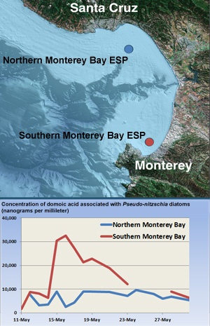 Map showing locations of two ESPs used to measure domoic acid in Monterey Bay