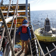 wave-power buoy recovery