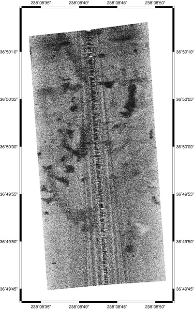 This map was generated from sidescan data collected in Monterey Canyon. Dark patches are areas of low reflectivity. © MBARI 2006