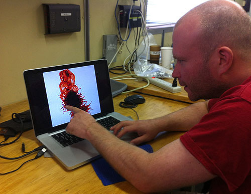 Stefan explains the morphology of this undescribed siphonophore. He spent a lot of time in the lab taking detailed photo-montages of the specimens he works on to better understand each part, as well to use in figures for publication.