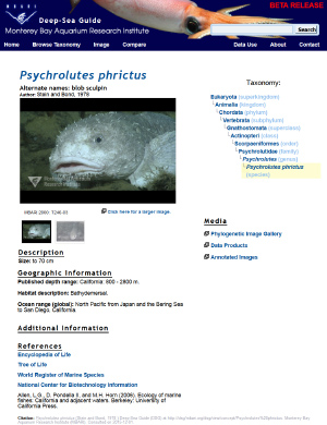MBARI's Deep-Sea Guide listing for Blob sculpin