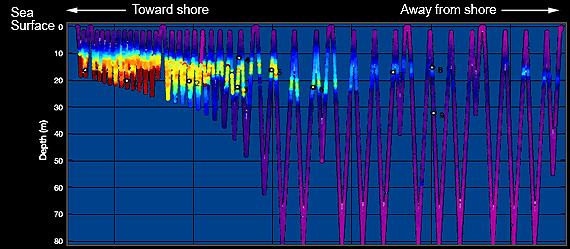 cross-section of San Pedro Bay