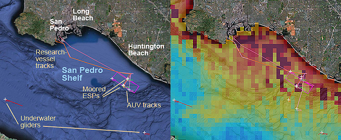 These images show the study area for the March 2013 ECOHAB experiment. The left-hand image shows the tracks of a few ships, AUVs, and underwater gliders that were active during the second day of the experiment. The right-hand image shows this same area overlain by a satellite-derived map of chlorophyll, an indicator of marine algae near the sea surface (dark red areas have the highest amounts of chlorophyll). Real-time tracking of ships, robots, drifters, and ocean-conditions helps ECOHAB researchers monitor and plan their experiments from offices on shore. Base image: Google Maps
