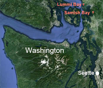 This map shows the locations of the two aquaculture facilities in the Pacific Northwest where Environmental Sample Processors are being deployed during the summer of 2013. Base map: Google Earth.