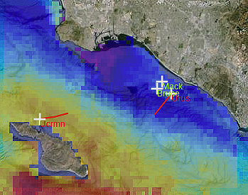 This satellite image shows the temperature of the ocean surface in and around San Pedro Bay on April 2, 2014. The purple and blue areas have colder water, possibly due to 