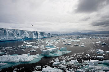 This very large iceberg in the Weddell Sea (designated A-52) was about 5 kilometers (three miles) wide and 21 kilometers (13 miles) long. Researchers found zones of abundant marine life around large icebergs such as this one and around a smaller iceberg that was only a few kilometers across. Image: (c) 2005 Rob Sherlock