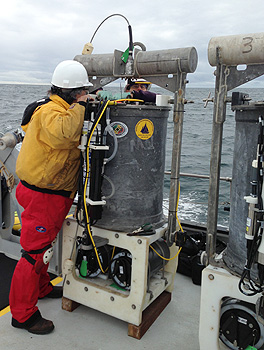 environmental sample processor