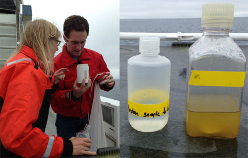 Left: Lynne and Alex look at the results of their plankton tow. Right: The bottle on the left contains the water from the bucket. The bottle on the right contains the concentrated plankton from the tow. The concentrated plankton is brown and contains many plankton surface dwellers, big and small.
