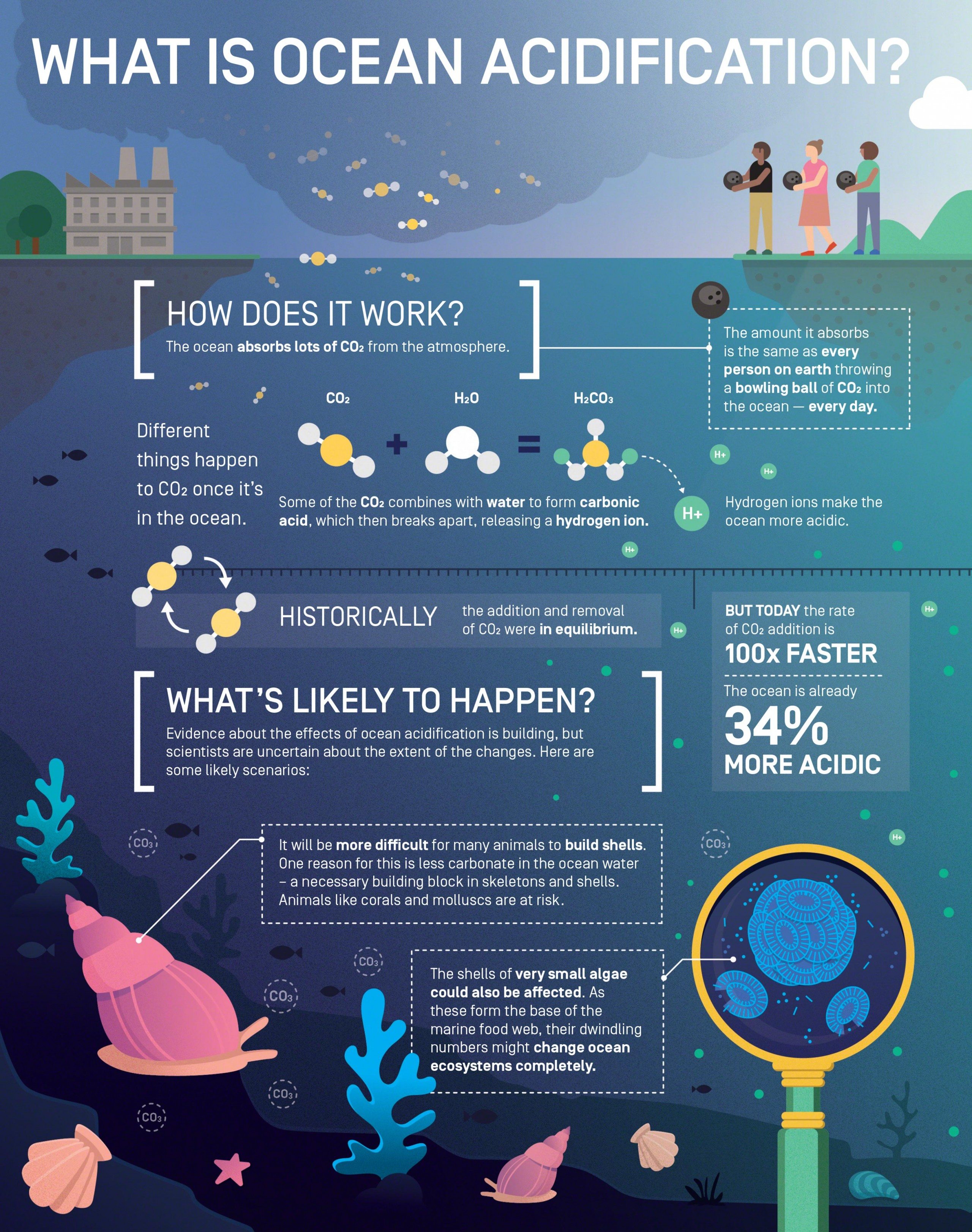 Ocean Acidification Resources MBARI