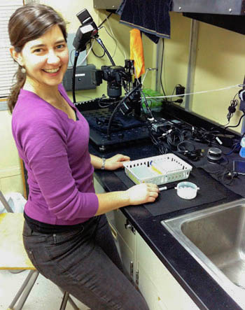 Stephanie Bush's camera set-up involves a high-resolution camera with a macro lens, a stand to stabilize the camera, and many flashes to help her get a great photo of her small species of interest.