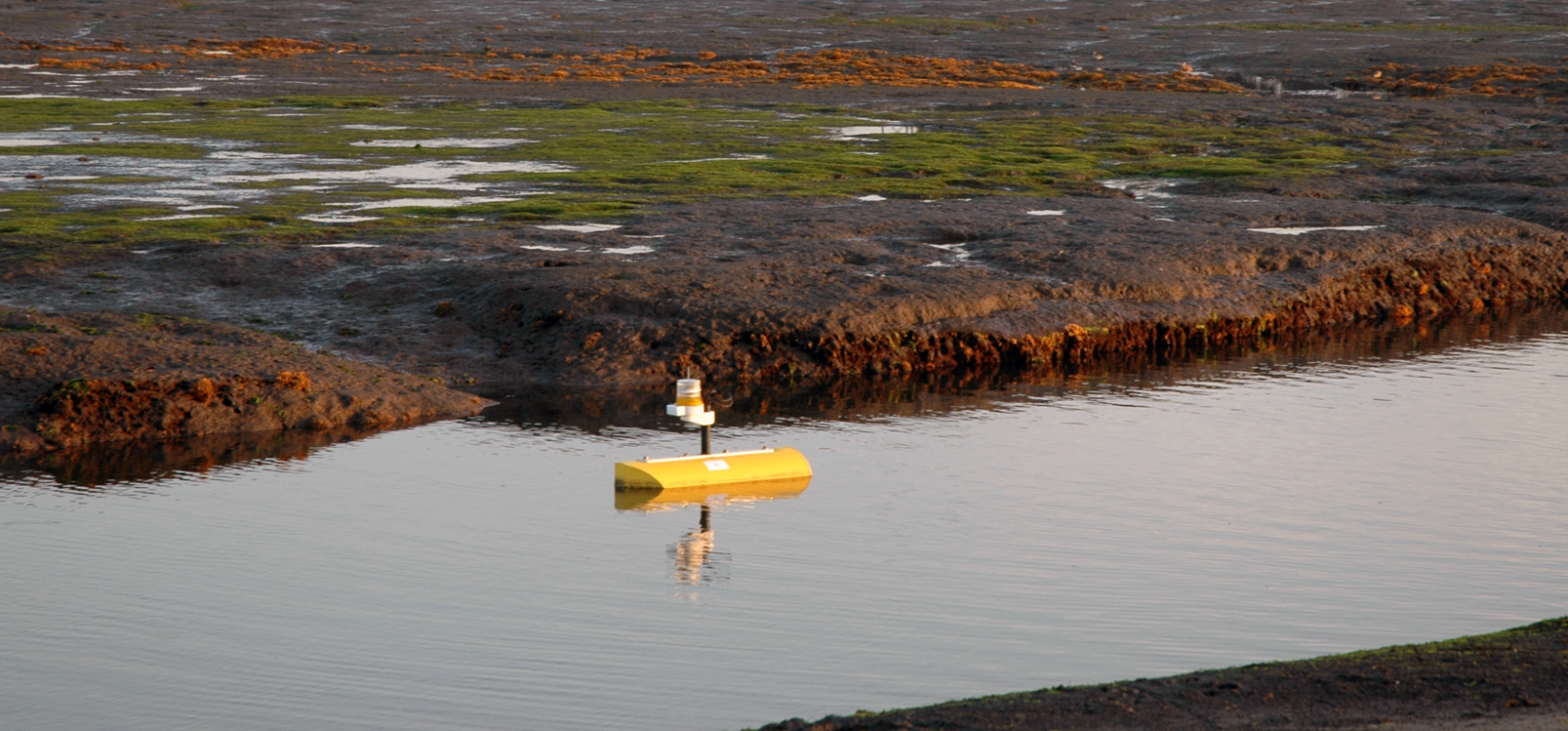 The Land/Ocean Biogeochemical Observatory (LOBO), pictured here in Elkhorn Slough, is a networked mooring system for continuous monitoring of complex cycles being commercialized by Satlantic.