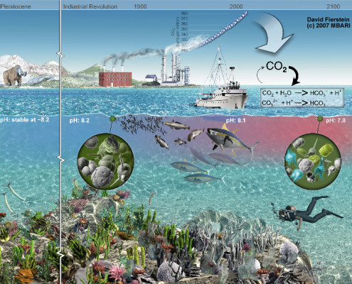 Artist's rendition of anthropogenic CO<small><p id=
