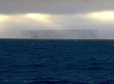 Iceberg W-86 in the Weddel Sea. Researchers found zones of abundant marine life around such floating icebergs.