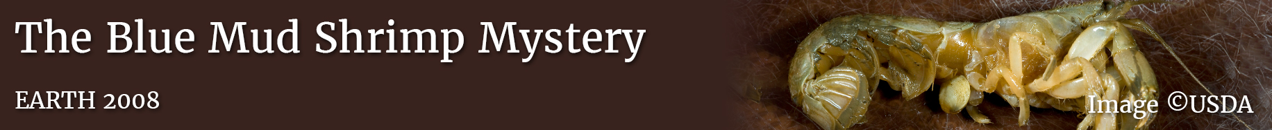 lesson_banner-bmsm